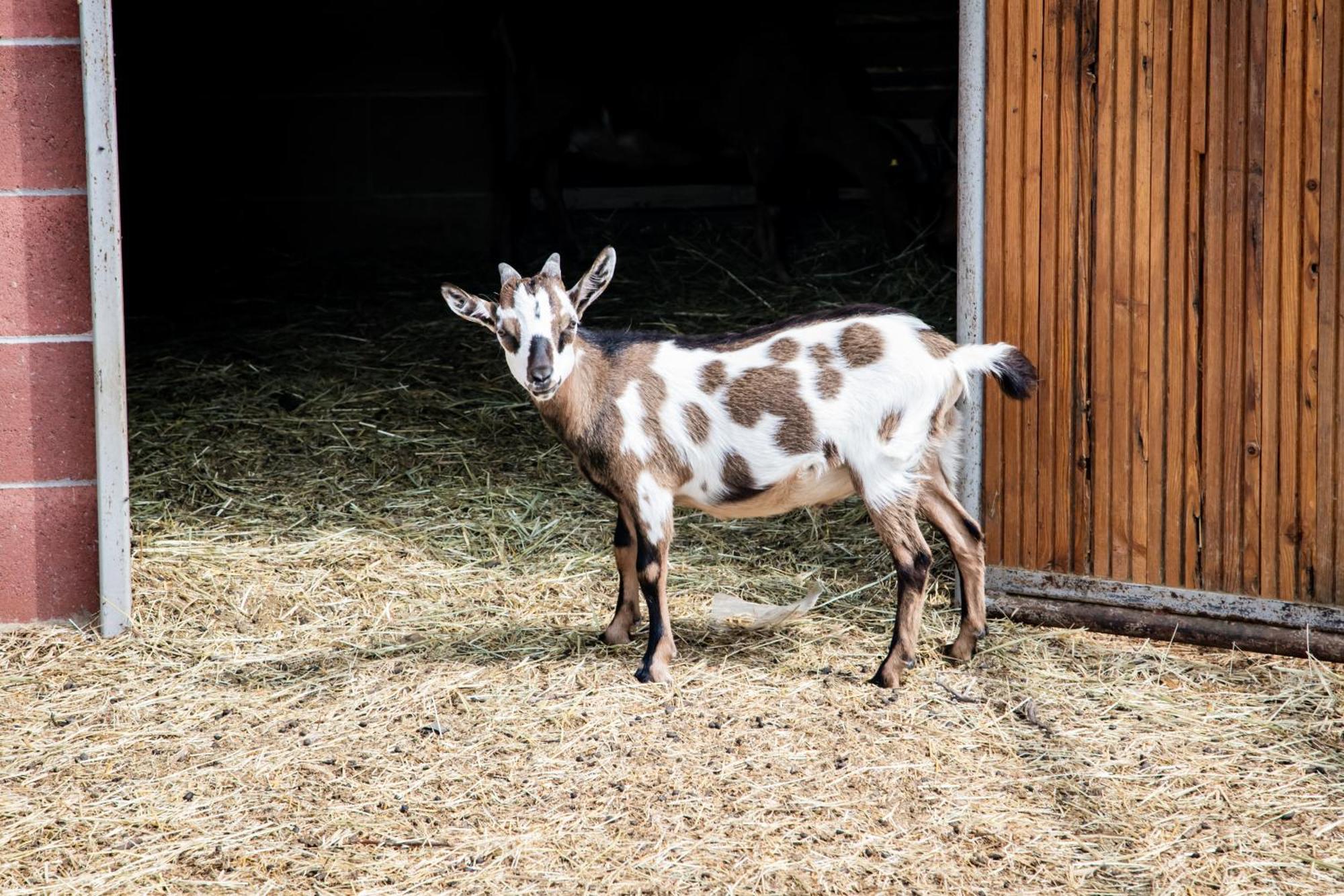 Lombardore Agriturismo Parco Campofelice المظهر الخارجي الصورة