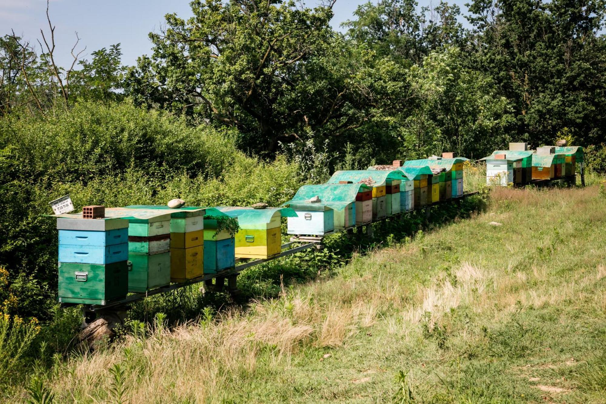 مبيت وإفطار Lombardore Agriturismo Parco Campofelice المظهر الخارجي الصورة