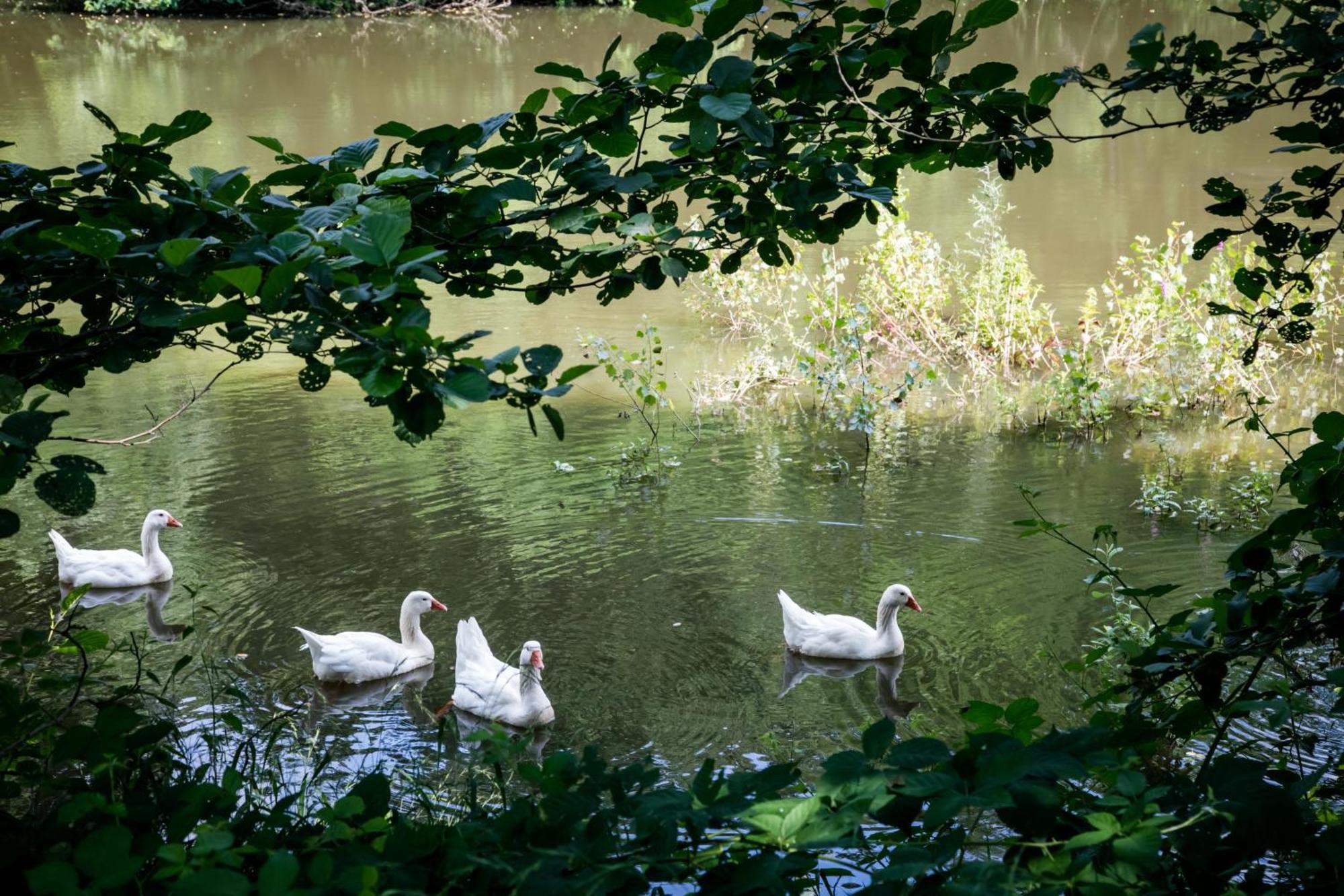 مبيت وإفطار Lombardore Agriturismo Parco Campofelice المظهر الخارجي الصورة