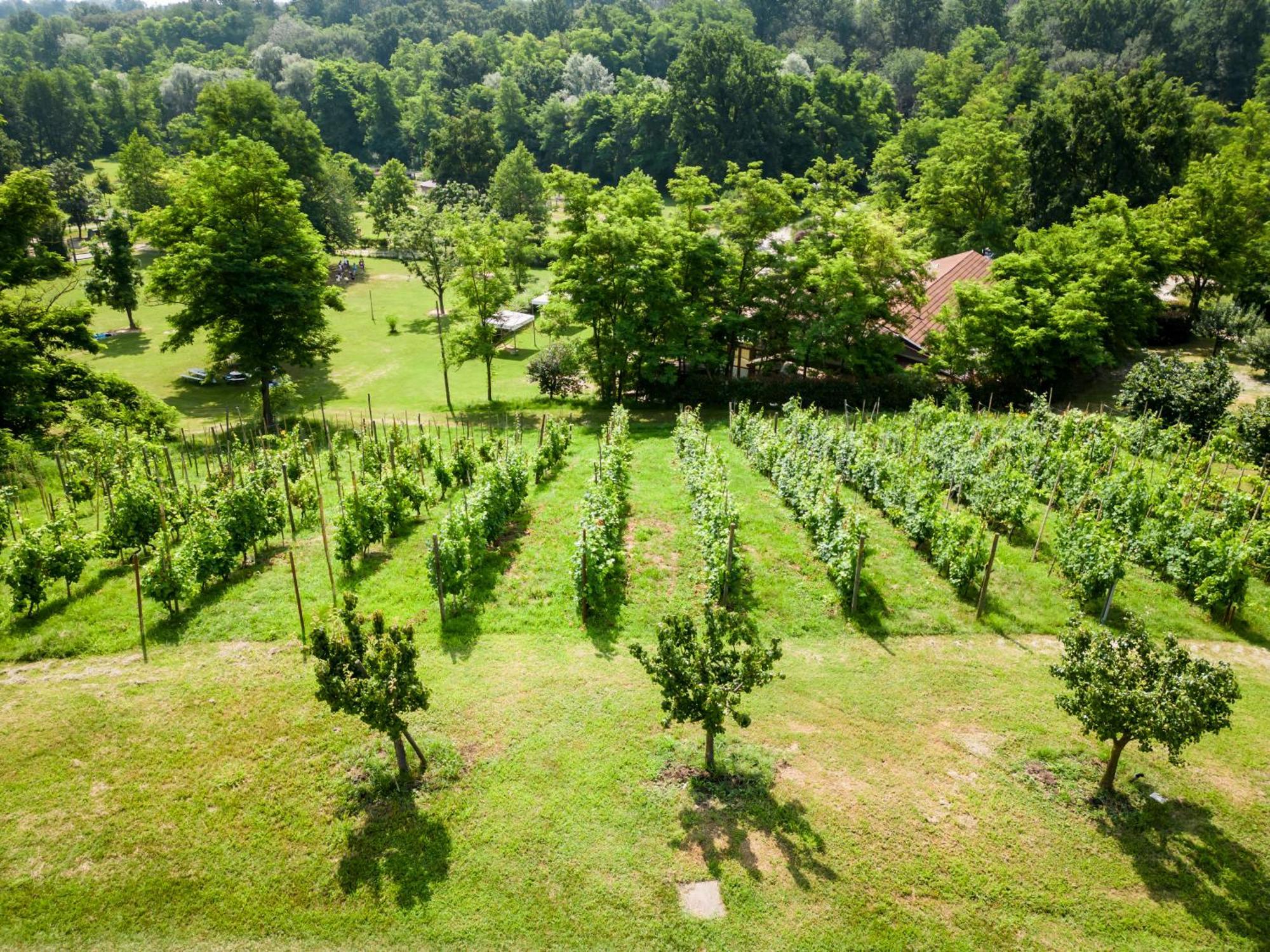 مبيت وإفطار Lombardore Agriturismo Parco Campofelice المظهر الخارجي الصورة