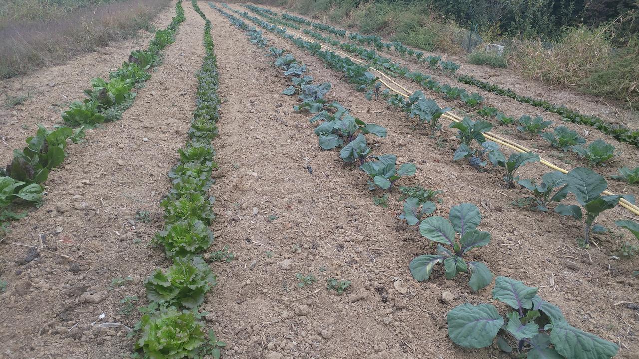 Lombardore Agriturismo Parco Campofelice المظهر الخارجي الصورة